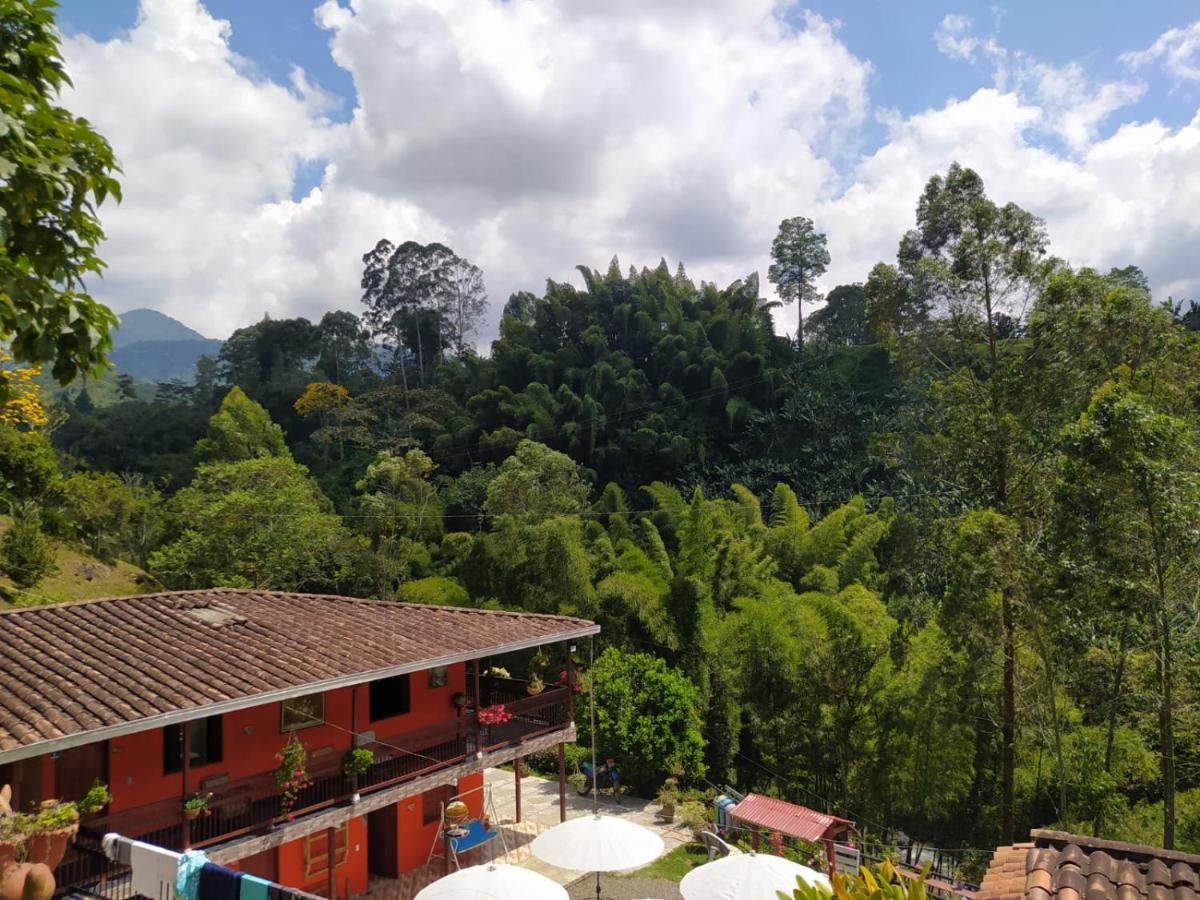 Hotel Orillas Del Pizano Jardín Exteriér fotografie