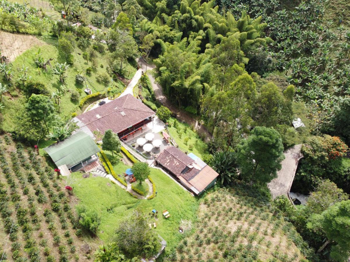 Hotel Orillas Del Pizano Jardín Exteriér fotografie