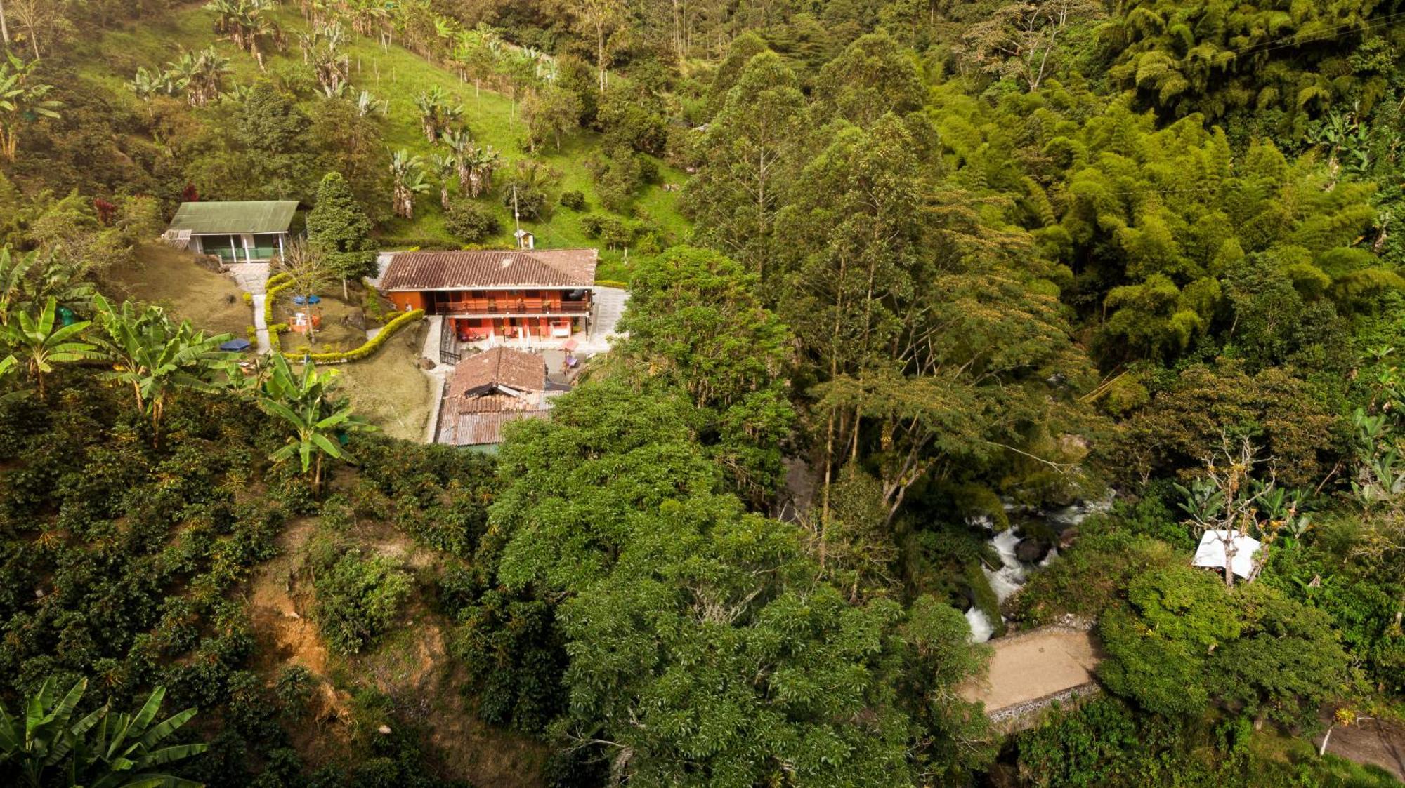 Hotel Orillas Del Pizano Jardín Exteriér fotografie