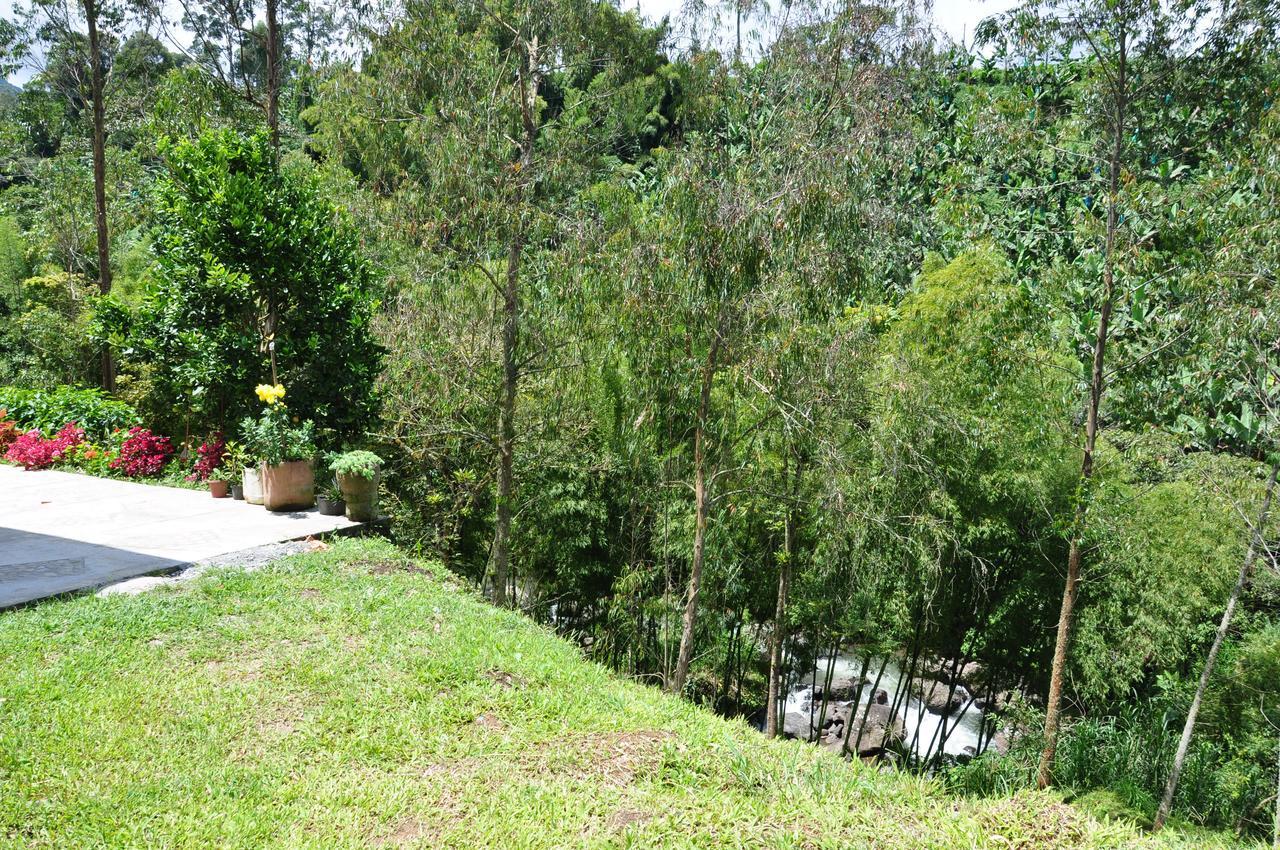 Hotel Orillas Del Pizano Jardín Exteriér fotografie